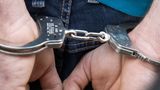 nachrichten deutschland - räuber-elefant