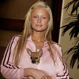 2000er Modetrends: Paris Hilton