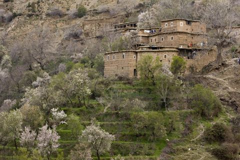 Quadratische Steinhäuser stehen an einem Hang mit künstlich angelegten Terrassen