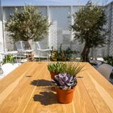 Der Terrassengarten wird von einer durchlässigen Wand abgeschirmt.