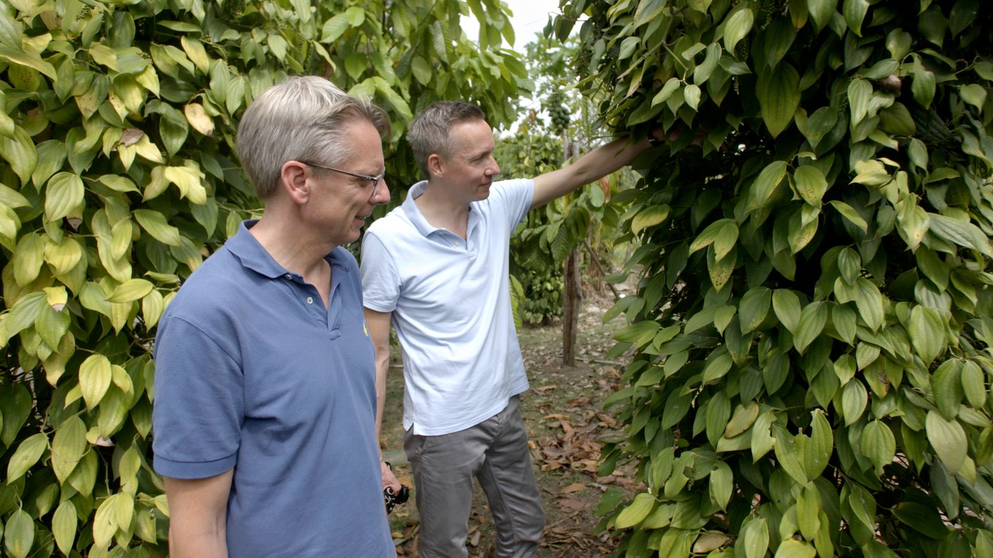 Geschäftsführer Nils Meyer-Pries (links) und Marketingchef Jan Plambeck auf einem Pfefferfeld in Brasilien - Einblick hinter die Kulissen der Gewürzbranche. 