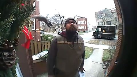 Eichhörnchen springt auf einen Paketboten vor der Haustür – und die Reaktion ist ganz lässig