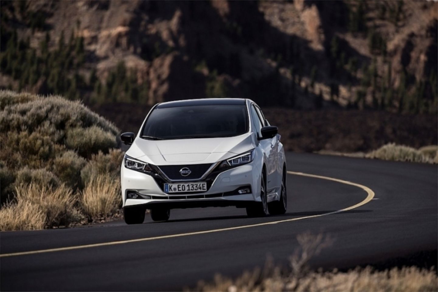 BEVs, wie der Nissan Leaf werden 2030 noch wichtiger sein