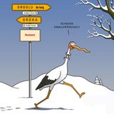 Spitze Feder: Von Sehhunden und braunem Pöbel - Die besten Tetsche-Cartoons 2018