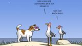 Spitze Feder: Von Sehhunden und braunem Pöbel - Die besten Tetsche-Cartoons 2018