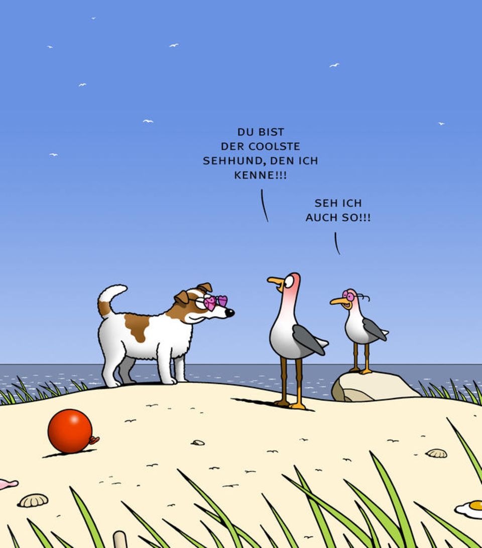 Spitze Feder: Von Sehhunden und braunem Pöbel - Die besten Tetsche-Cartoons 2018