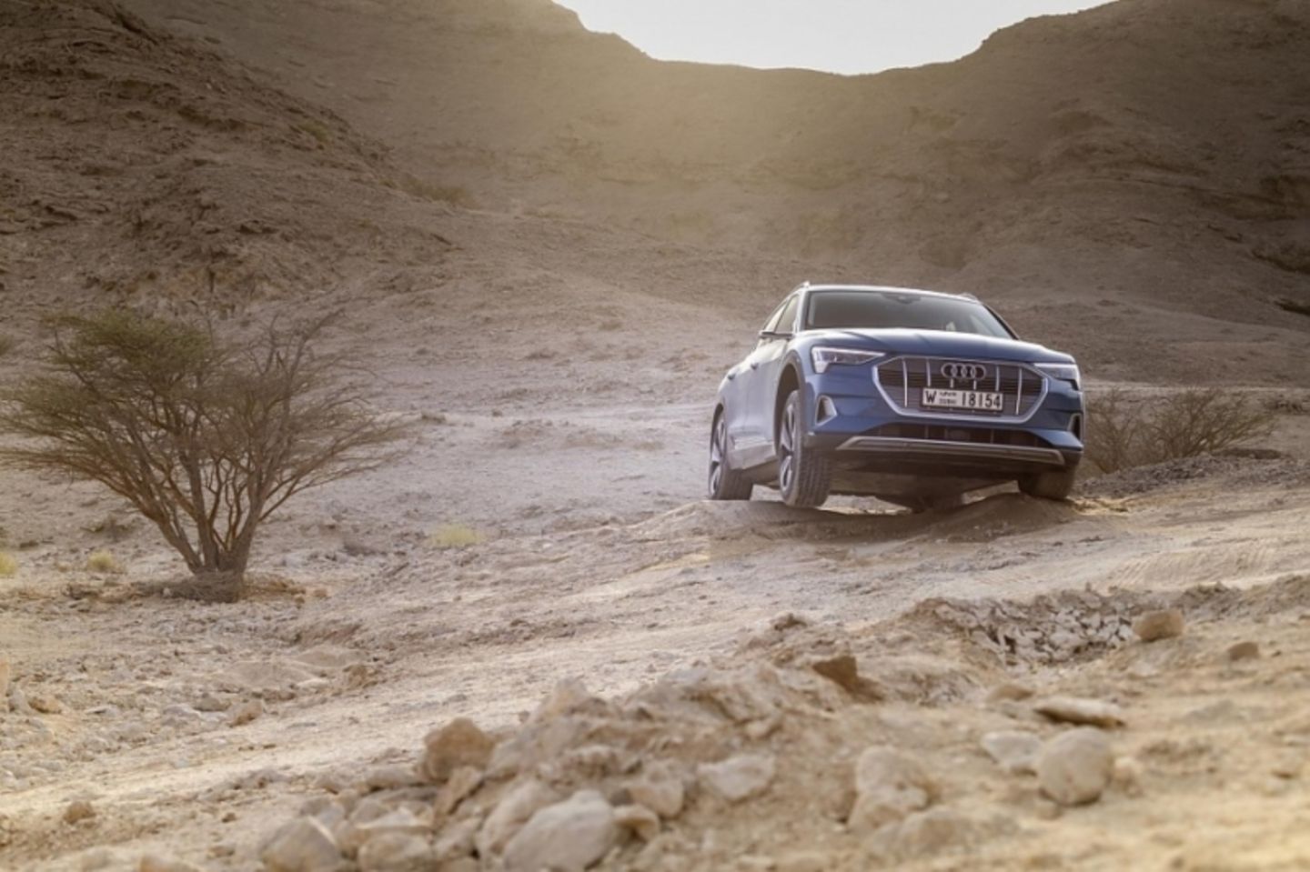 Der Start des Audi e-Tron wird sich bis zum nächsten Jahr verzögern