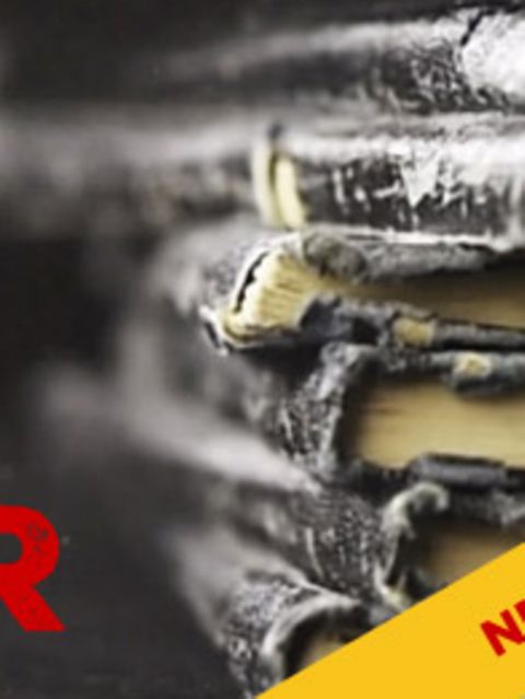 Faking Hitler Folge 2