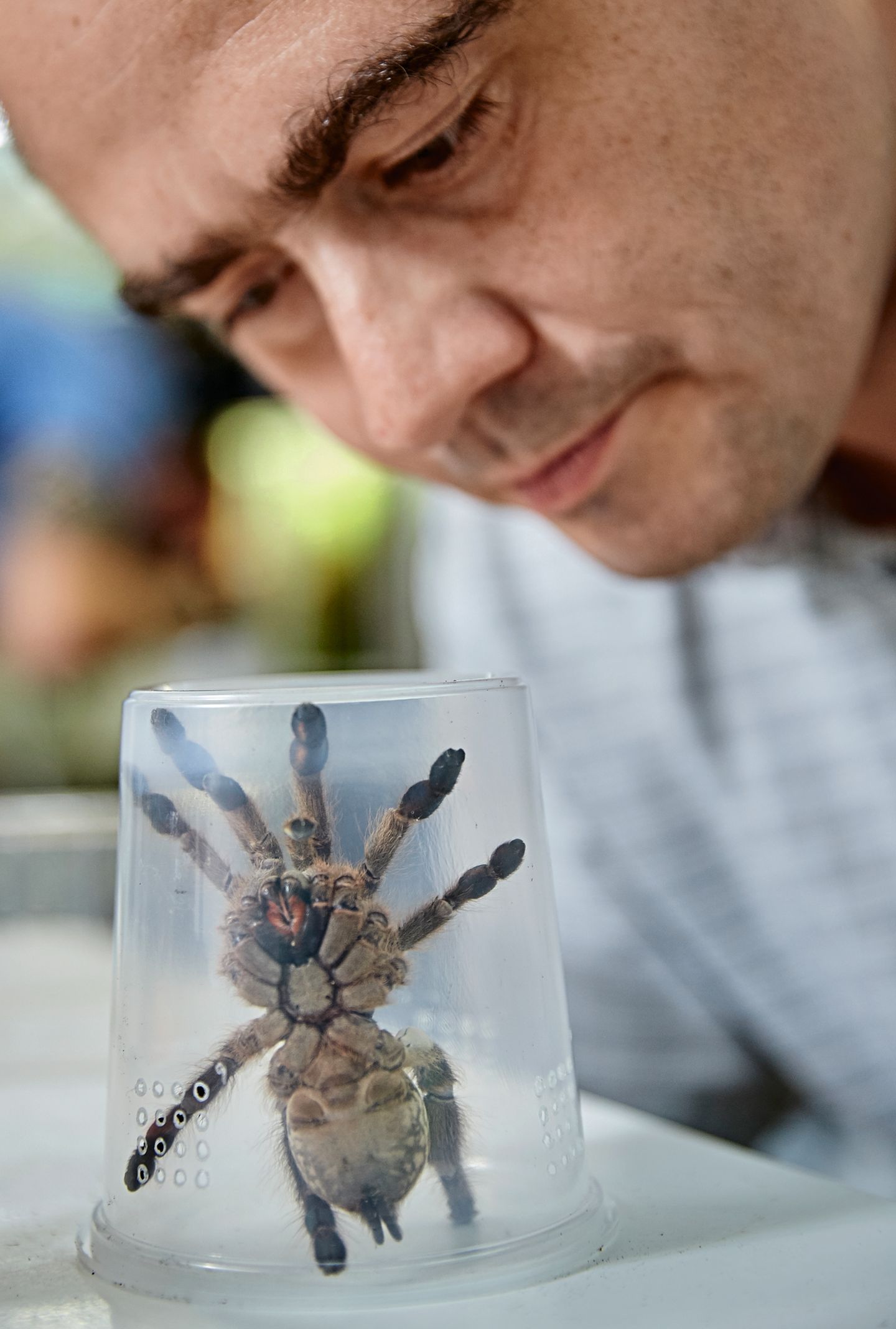Tiergift-Forschung: Wie viel Heilkraft verbirgt sich der Natur?