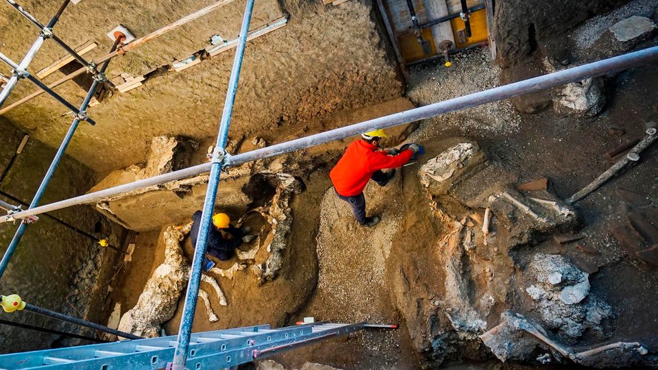 Der Tod erreichte die Einwohner schneller, als sie erwartet hatten.