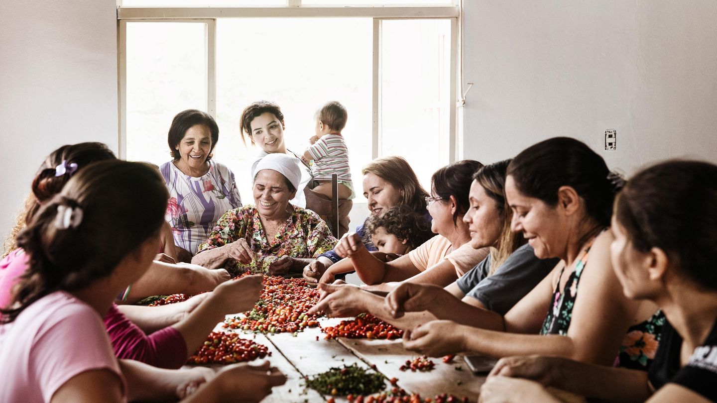 An einem großen Holztisch sitzen Frauen, sortieren Beeren und diskutieren dabei