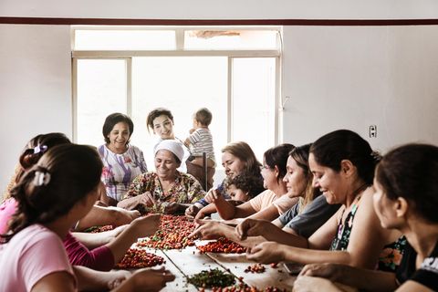 An einem großen Holztisch sitzen Frauen, sortieren Beeren und diskutieren dabei