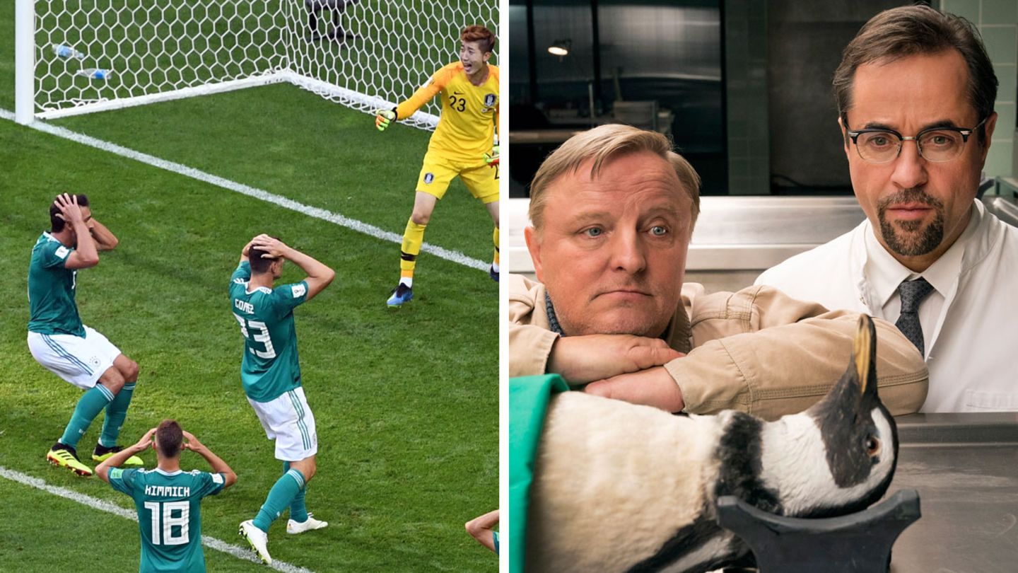 Die Einschaltquoten 2018