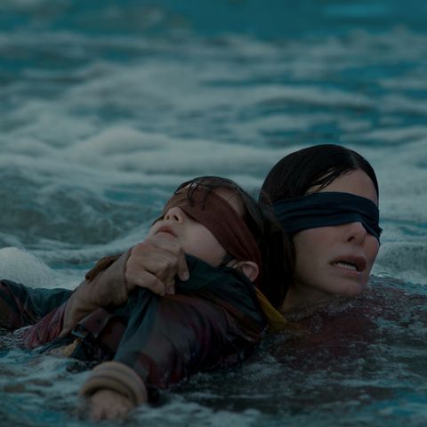 Sandra Bullock in Bird Box