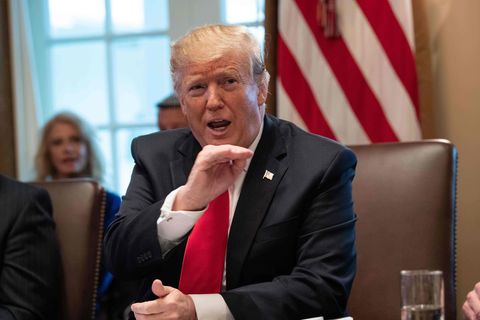 Donald Trump im Kabinett