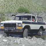 1979 Ford Bronco