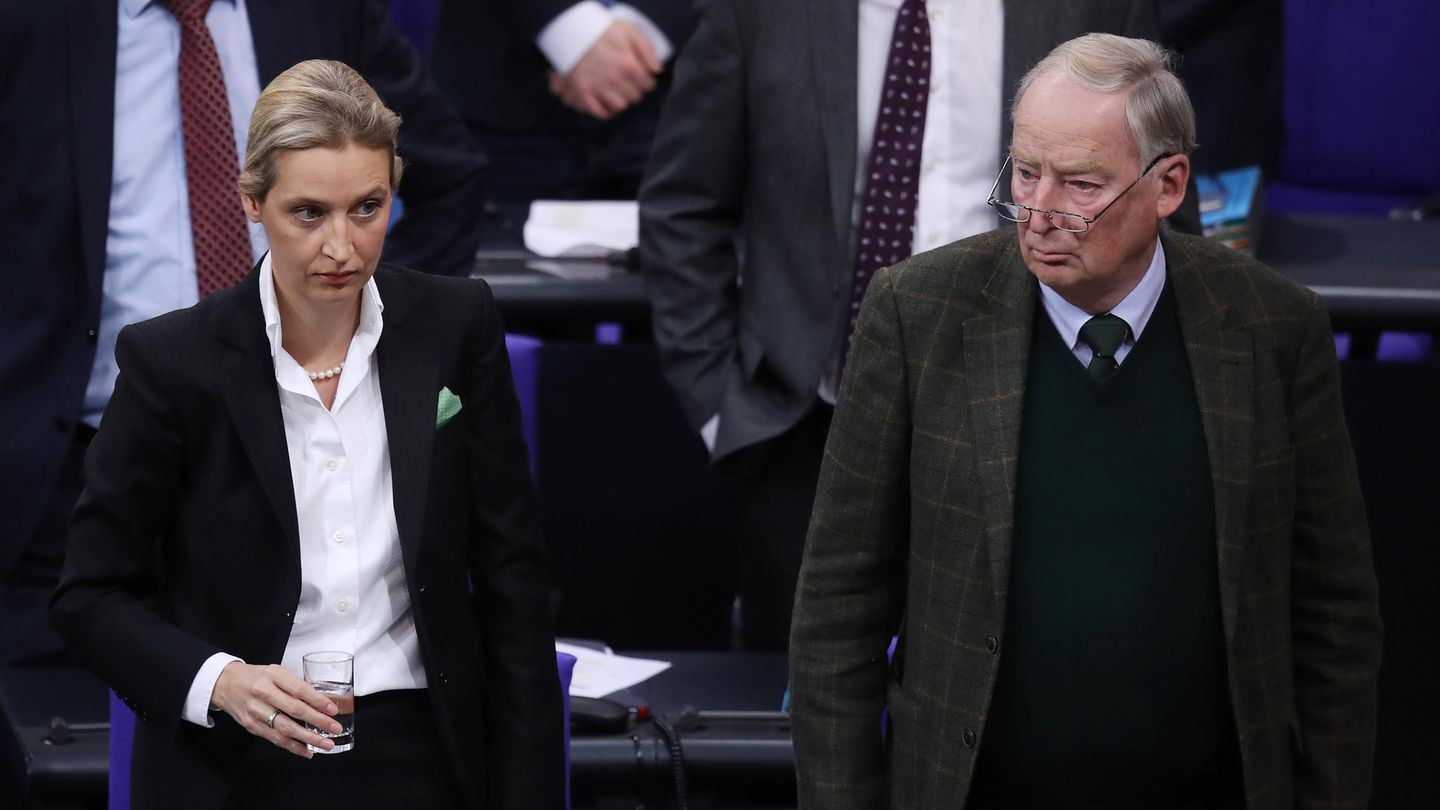 AfD Weidel Gauland