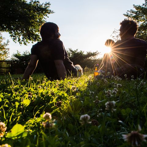 Eine Mittagspause an der Sonne ist gut für die Vitamin-D-Produktion