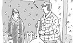 Cartoons: So lustig kann der Winter sein