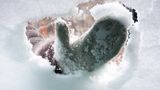 Freie Sicht vor dem Start  Vor dem Start müssen die Scheiben von Eis und Schnee befreit werden. Nur ein Guckloch freizukratzen ist gefährlich und verboten. Frontscheibe, vordere Seitenscheiben und Rückspiegel müssen von Schnee und Eisbefreit werden. Schnee wird am besten mit einer Bürste entfernt. Wer auf das ewige Eiskratzen keine Lust hat, kann zu einem Enteiser, wie er auch für Flugzeuge benutzt wird, greifen. Kleine Spraydosen sind sinnlos, man sollte in Litern rechnen. Vorteil: Mit dem Enteiser lassen sich auch dicke Eispanzer schnell auflösen.  Bei starker Kälte dürfen Mitfahrer nicht vor dem Start im Auto Platz nehmen. Ihr Atem wird sofort an den Scheiben kondensieren und anfrieren. Das Laufenlassen des Motors ist in Deutschland verboten, wenn es "unnötig" ist. Der Motor selbst benötigt den Vorlauf vor dem Start keine Leerlaufphase, das Aufheizen des Wagens wird allerdings beschleunigt.