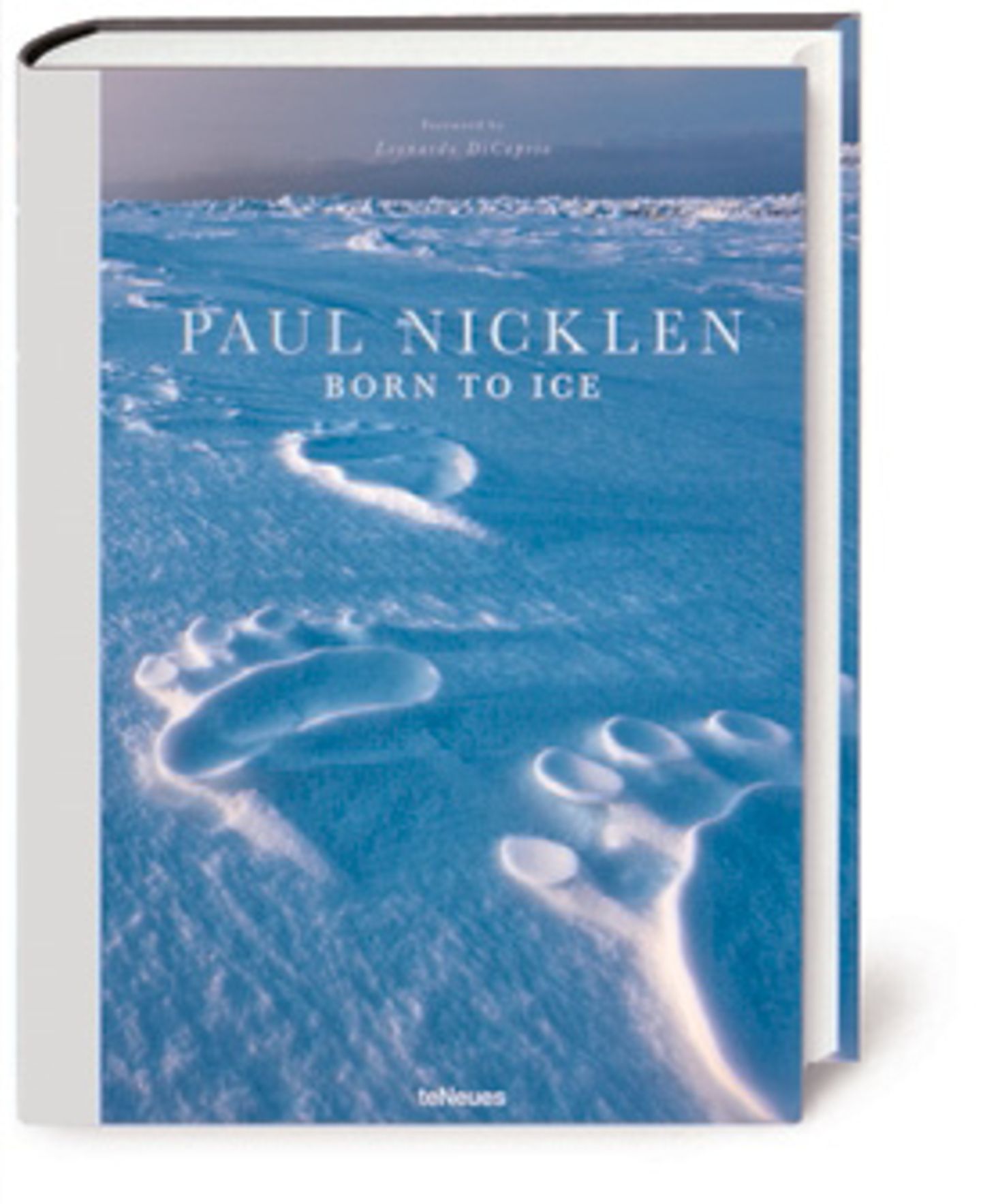 Schmelzendes Idyll: Aus: "Born to Ice" von Paul Nicklen. Erschienen bei teNeues, 344 Seiten, Preis: 100 Euro. Für Informationen über SeaLegacy und Paul Nicklens Arbeiten als Fine Art kontaktieren Sie bitte zoe@sealegacy.org Aus: "Born to Ice" von Paul Nicklen. Erschienen bei teNeues, 344 Seiten, Preis: 100 Euro. Für Informationen über SeaLegacy und Paul Nicklens Arbeiten als Fine Art kontaktieren Sie bitte zoe@sealegacy.org
