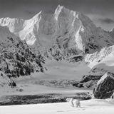 Langer Marsch mit knurrendem Magen: Zwei Tage folgte Fotograf Paul Nicklen diesem Eisbär auf Nahrungssuche. Um ein Uhr morgens entstand das Bild auf der Insel Spitzbergen.