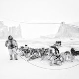 Mit einer Peitsche hält ein Inuit in Qaanaaq, Grönland, sein Rudel Huskies zusammen. Bis heute bleiben die Hunde ein wichtiges Fortbewegungsmittel.