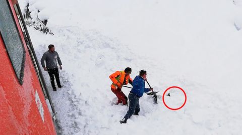 ÖBB: Bahn-Mitarbeiter in Österreich retten Gams aus Schneemassen und werden zu Helden