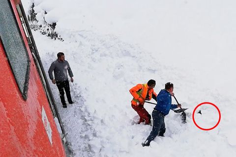 ÖBB: Bahn-Mitarbeiter in Österreich retten Gams aus Schneemassen und werden zu Helden