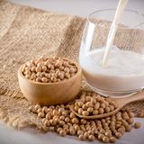 Sojamilch  Vor allem Amerikaner und auch Europäer trinken Sojamilch am liebsten. Marktführer Alpro verwendet Soja aus Kanada und Europa und versucht nach eigenen Angaben darauf zu achten, dass der Anbau so nachhaltig wie möglich ist und so wenig Pflanzenschutzmittel wie möglich verwendet wird. Deren Bio-Ableger Provamel bezieht Soja vollständig aus Europa. Die Sojamilch des französischen Bio-Unternehmens Sojade (So Soya!) verwendet Soja, das ausschließlich aus Frankreich stammt.