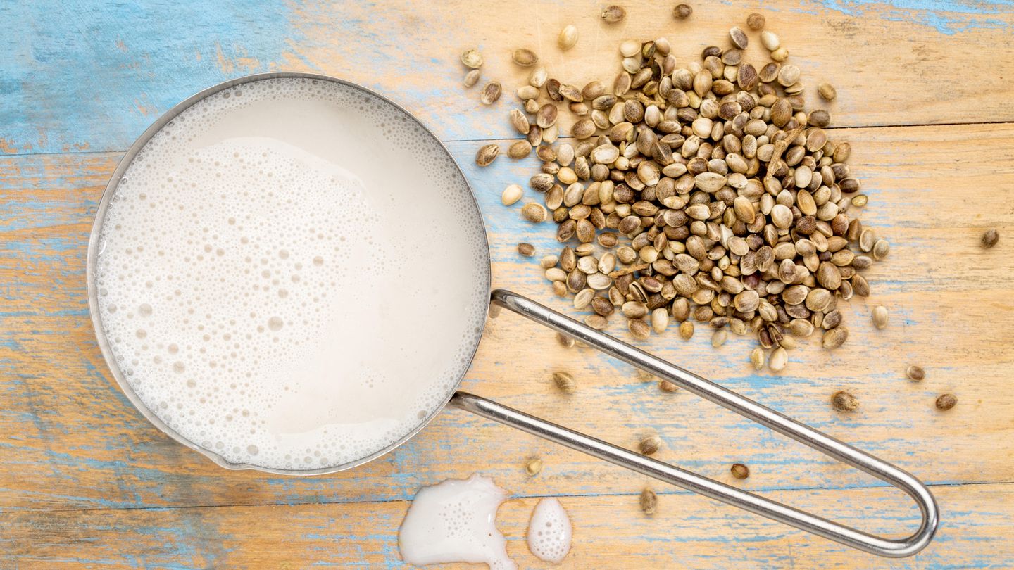Gut zu wissen: Hanfmilch Die Hanfmilch soll als Milchalternative ein echter Geheimtipp sein. Im Kaffee schmeckt sie sogar fast wie fettarme Kuhmilch. Hanfmilch wird aus Hanfsamen hergestellt, nicht aus den Blüten oder Blättern der Hanfpflanze. Es gibt daher keinen Milchrausch. Hierzulande ist die Hanfmilch noch nicht sehr bekannt. Zu kaufen gibt es sie in Bio-Läden sowie in vielen Edeka-Filialen. Hanfmilch Die Hanfmilch soll als Milchalternative ein echter Geheimtipp sein. Im Kaffee schmeckt sie sogar fast wie fettarme Kuhmilch. Hanfmilch wird aus Hanfsamen hergestellt, nicht aus den Blüten oder Blättern der Hanfpflanze. Es gibt daher keinen Milchrausch. Hierzulande ist die Hanfmilch noch nicht sehr bekannt. Zu kaufen gibt es sie in Bio-Läden sowie in vielen Edeka-Filialen.