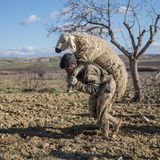 Polizei und Feuerwehr retten eine Schafherde und einen Esel aus dem Schlamm
