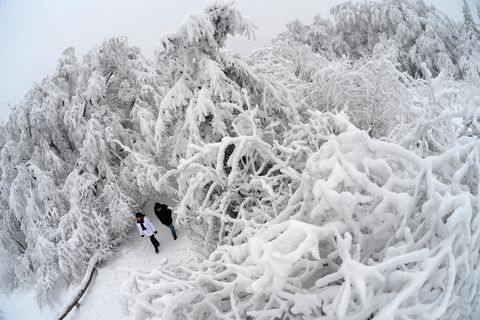 Schnee und Eisregen