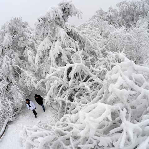 Schnee und Eisregen