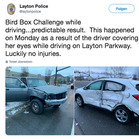 Unfall bei Bird Box Challenge