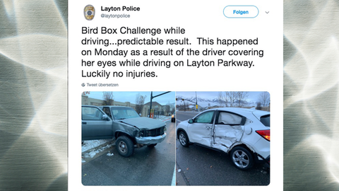 Unfall bei Bird Box Challenge
