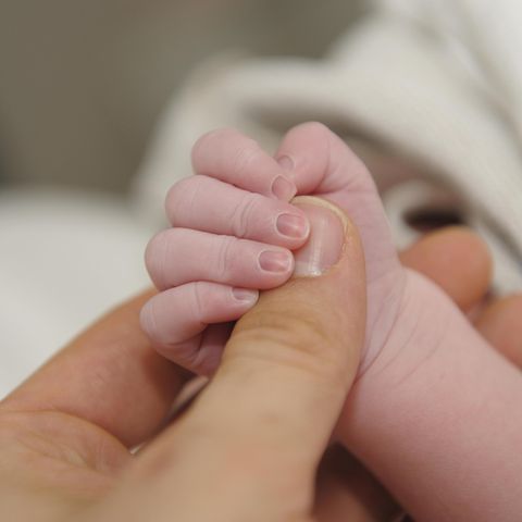 Baby Hand
