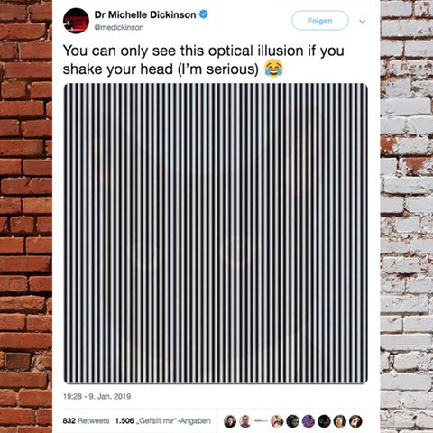 Twitter-Community ist verwirrt: Bei dieser optischen Täuschung soll man sich zum Deppen machen – aber es funktioniert!