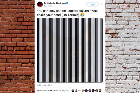 Twitter-Community ist verwirrt: Bei dieser optischen Täuschung soll man sich zum Deppen machen – aber es funktioniert!