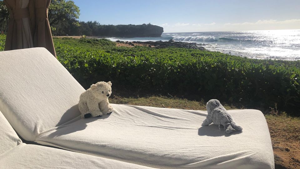 Teddy vergessen Die Stofftieren liegen auf einer Strandliege mit Meerblick