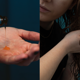 Feuchtigkeit ist alles. Eure Locken brauchen für Sprungkraft so viel Feuchtigkeit wie nur möglich - nur beschweren darf das Produkt nicht. Ich habe die Erfahrung gemacht, dass es am besten ist, wenn ihr euer Leave-In-Pflegeprodukt in klitschnasses Haar einarbeitet (auf keinen Fall trocken rubbeln, siehe nächstes Bild). Die richtige Menge zu finden, ist etwas tricky und bei euch bestimmt auch anders als bei mir. Da heißt es: ausprobieren! Ich benutze aktuell ein Haaröl von Hask. Die Flasche sieht sehr klein aus, aber wie sagt man auf englisch so schön: A little goes a long way. 