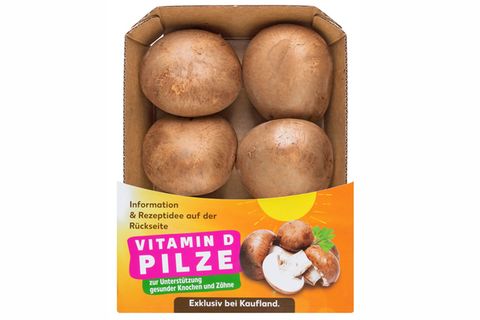 Vitamin D Pilze