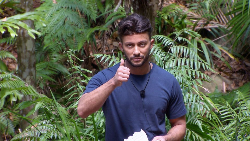 Dschungelcamp Domenico De Cicco entlarvt sich selbst STERN.de