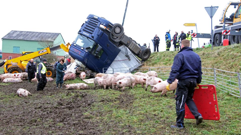 Nachrichten aus Deutschland