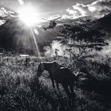 Im Ecuador kämpfen Ureinwohner gegen die Übernahme ihres