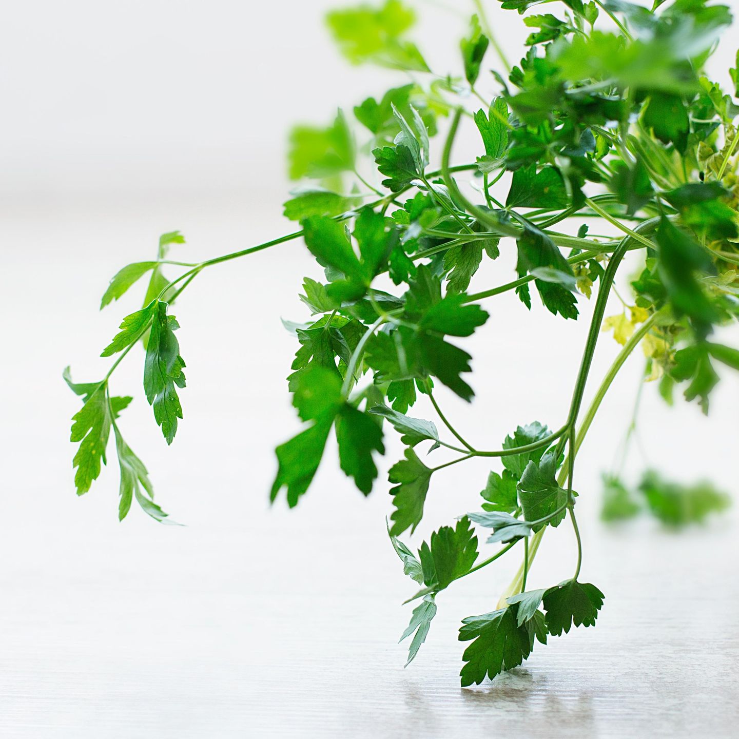 Nicht Nachmachen Frauenzeitschrift Rat Petersilie In Die Vagina Einzufuhren Stern De