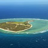 Von hier aus erstreckt sich das größte Korallenriff der Erde über 2300 Kilometer nach Norden