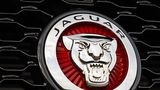 Jaguar XF 30d - Kameras rundum