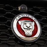 Jaguar XF 30d - Kameras rundum