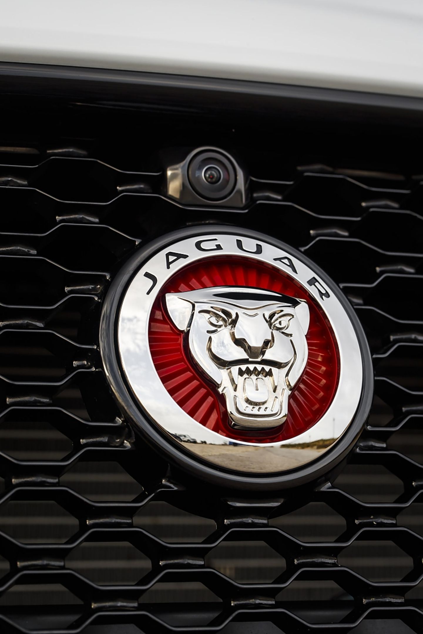 Jaguar XF 30d - Kameras rundum